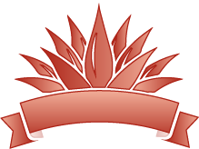 Special Editions Icon